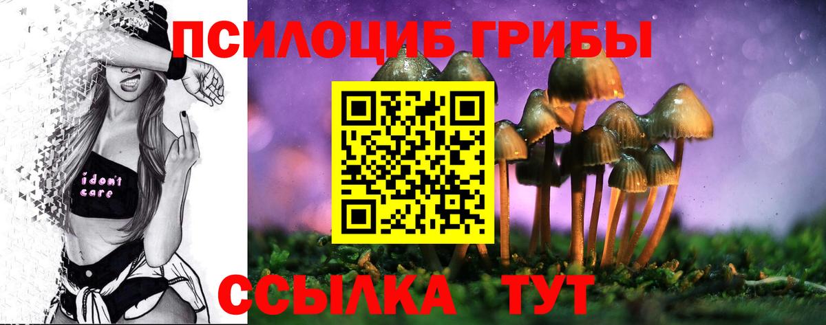 Галлюциногенные грибы мухоморы  сколько стоит  Тавда  Вход с VPN 